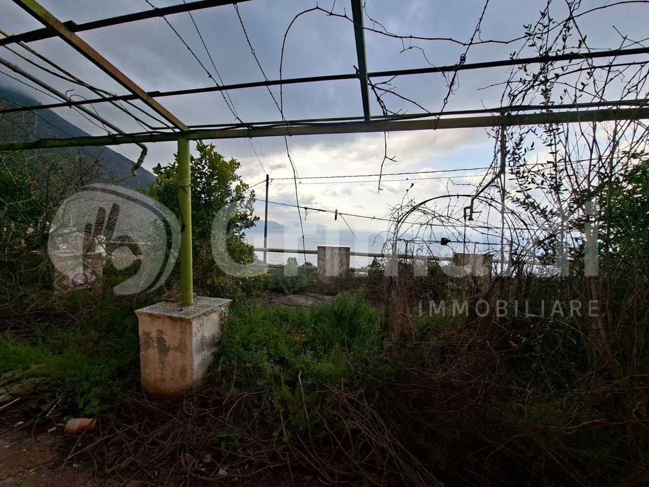 immagine annuncio 3 di 12