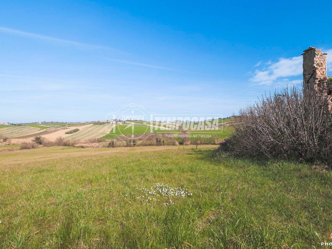 immagine annuncio 2 di 12