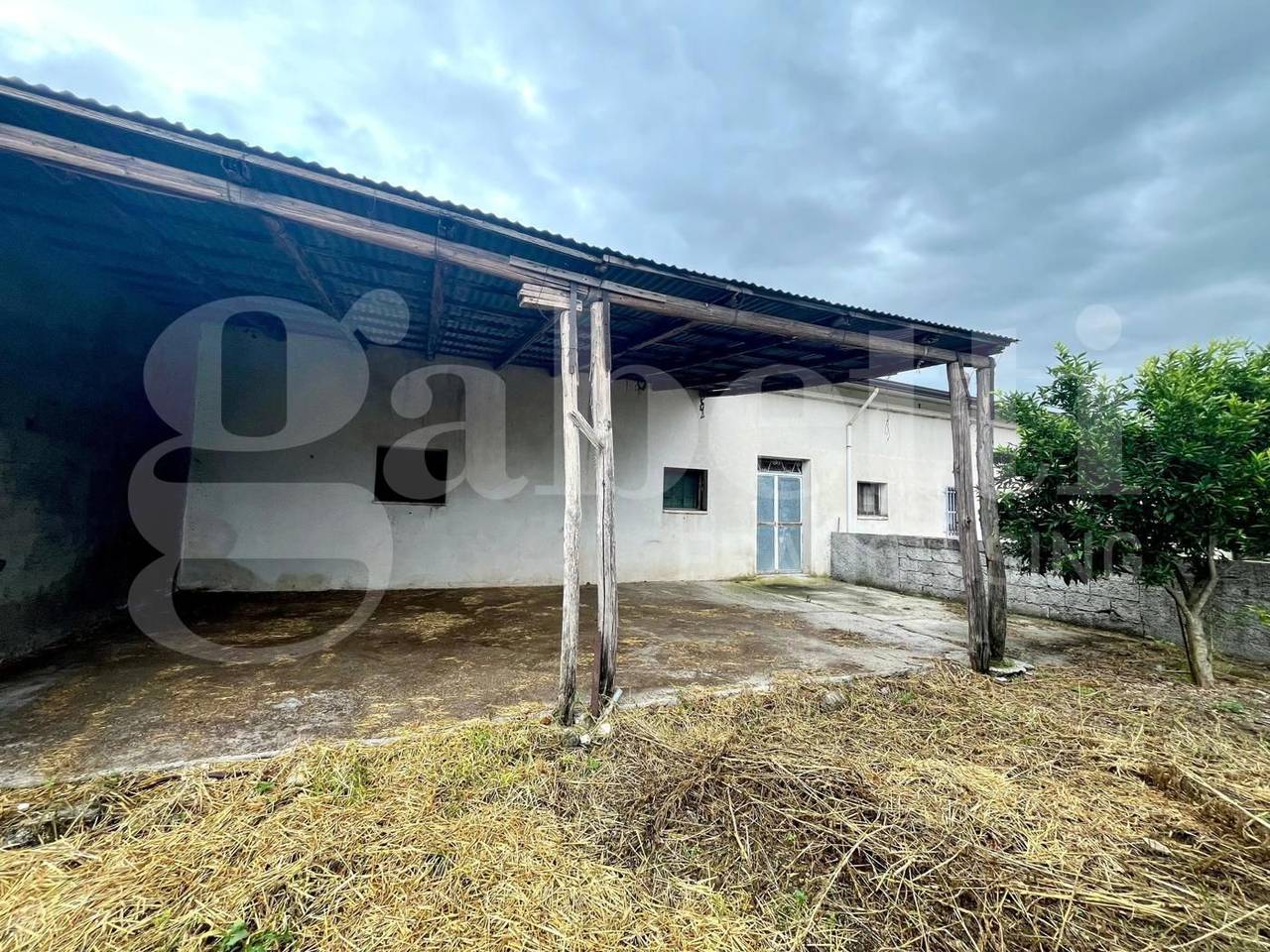 immagine annuncio 3 di 11