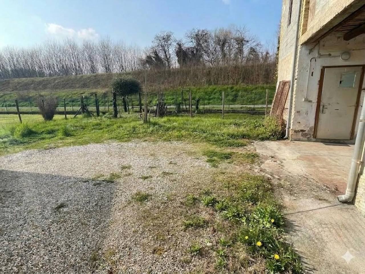 immagine annuncio 7 di 8