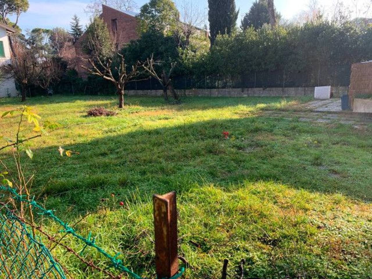 immagine annuncio 1 di 11