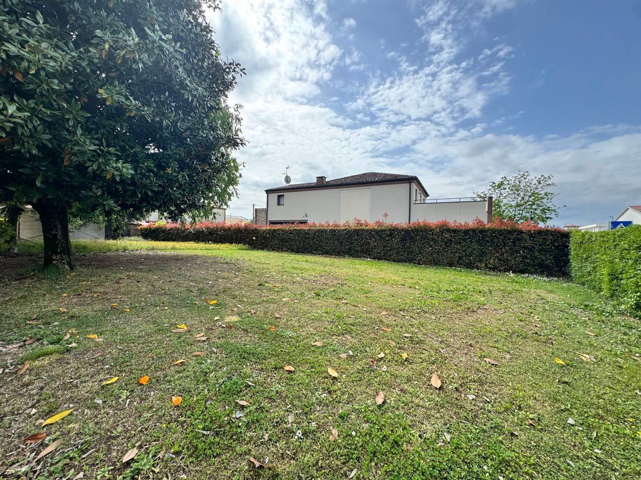 immagine annuncio 8 di 12