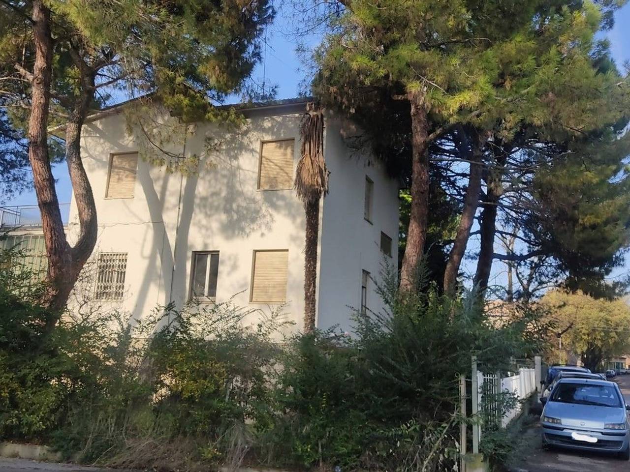 immagine annuncio 8 di 12