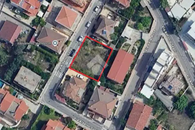 insertion image