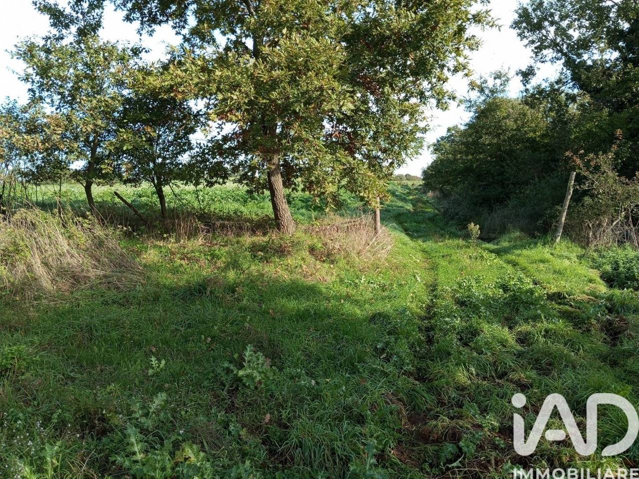 immagine annuncio 8 di 9