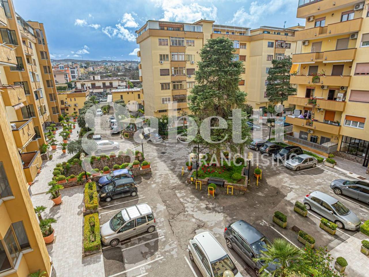 immagine annuncio 12 di 14