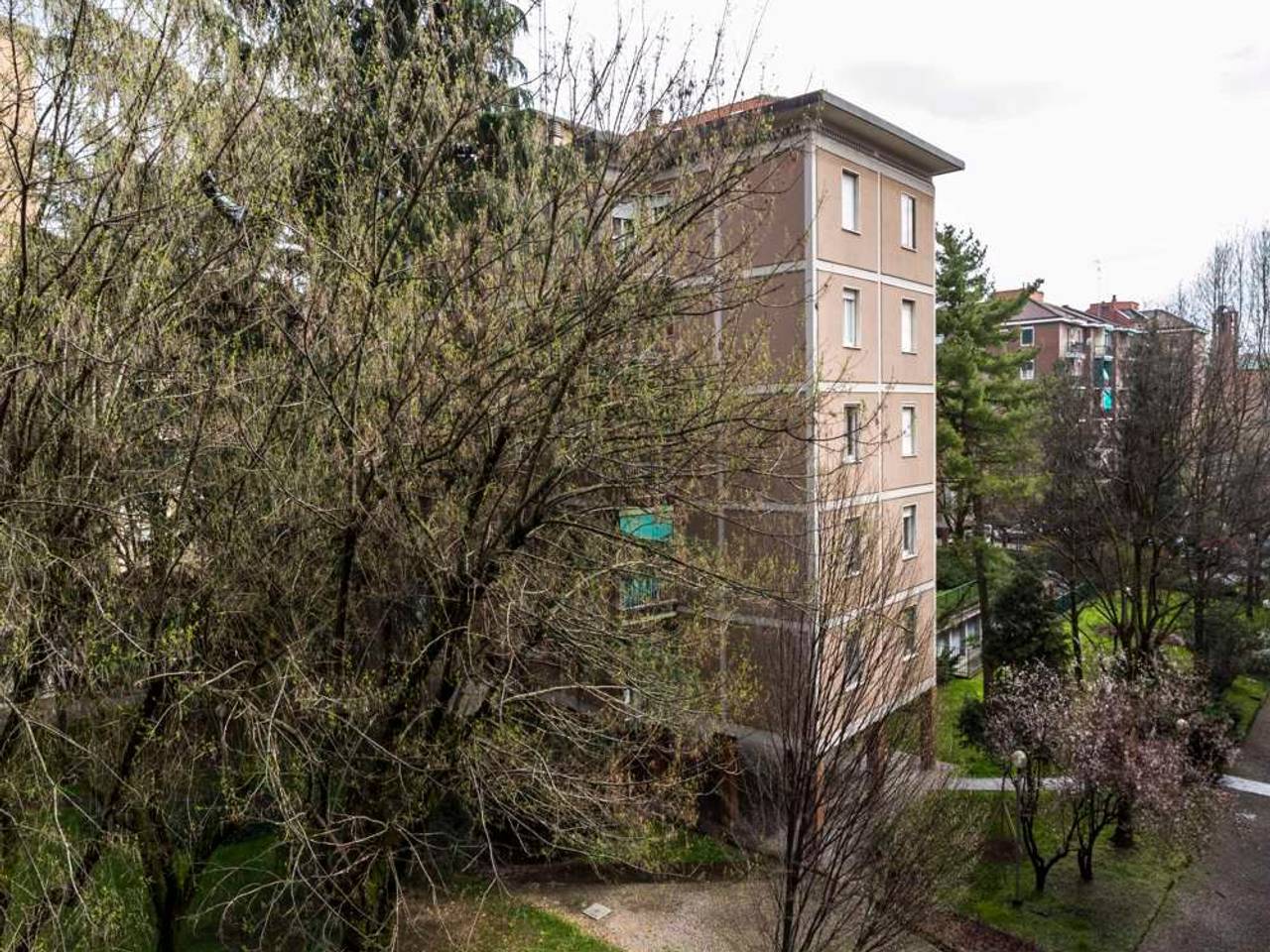 immagine annuncio 7 di 15