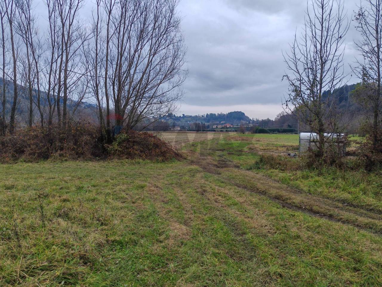 immagine annuncio 2 di 8