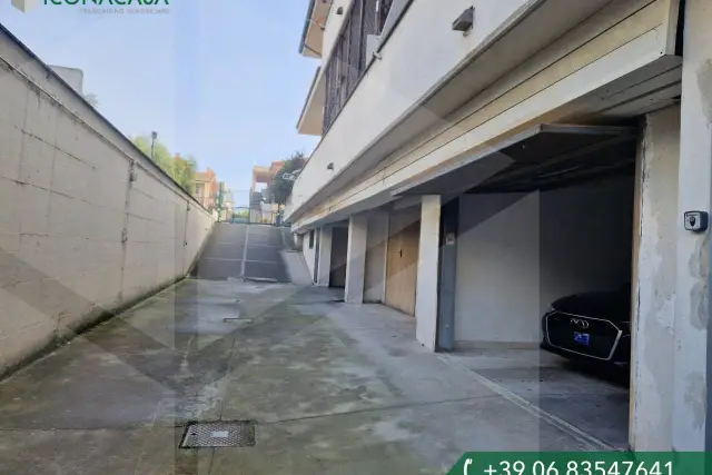 insertion image