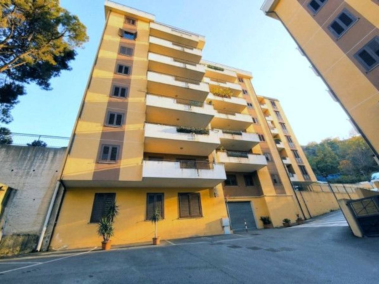 immagine annuncio 8 di 9