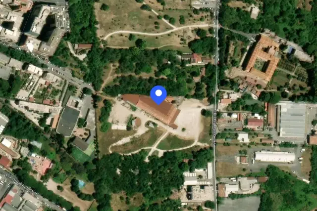 insertion image