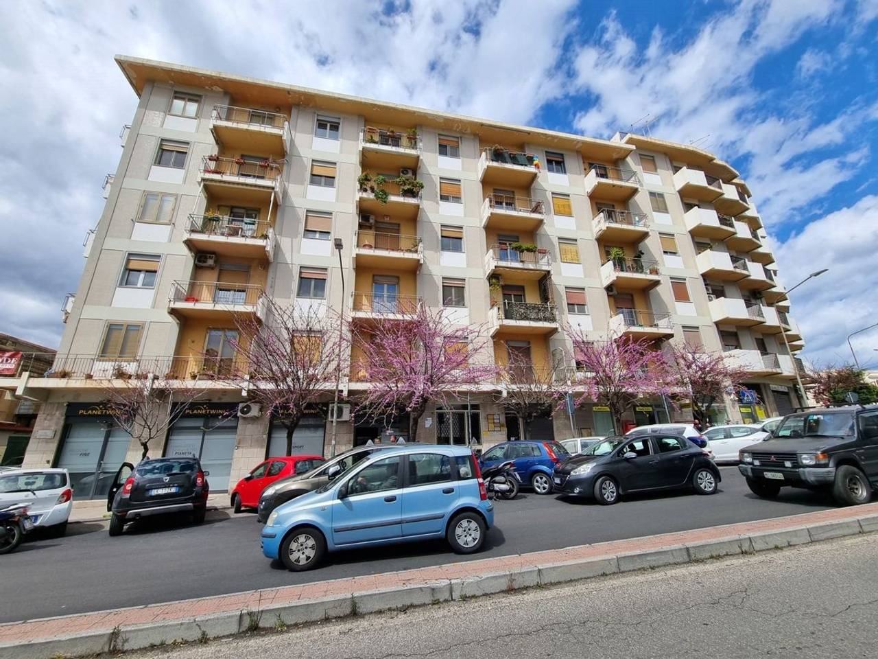 immagine annuncio 1 di 13