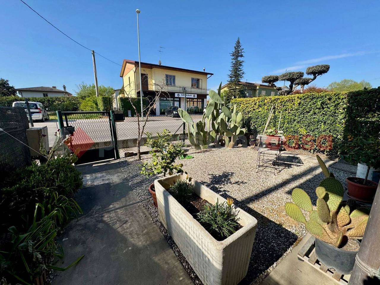 immagine annuncio 1 di 9