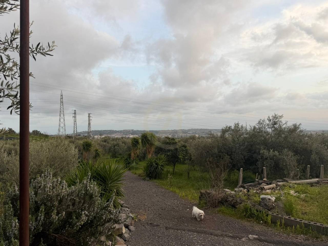 immagine annuncio 3 di 7