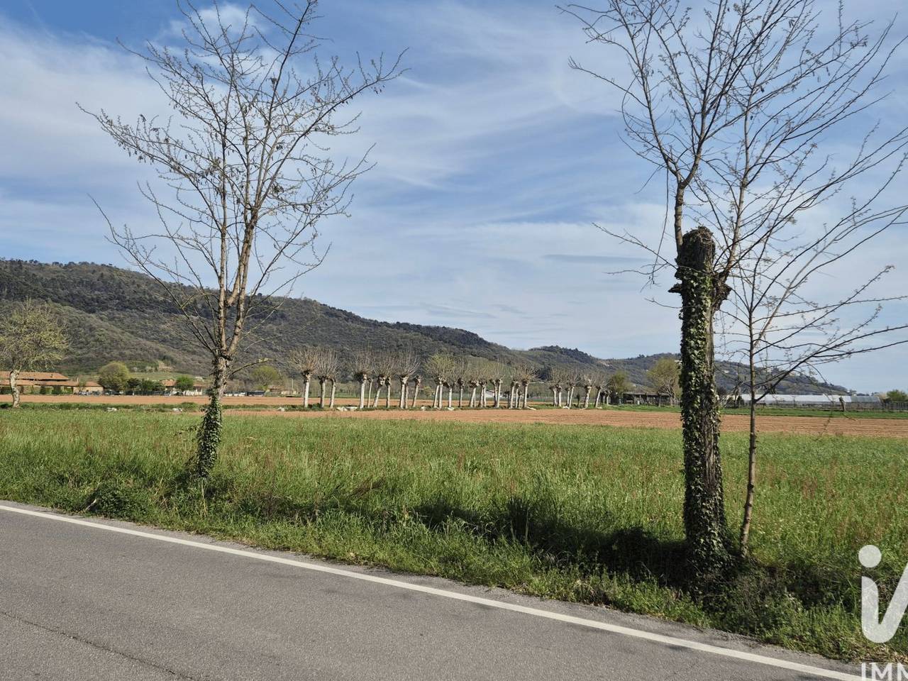 immagine annuncio 1 di 7