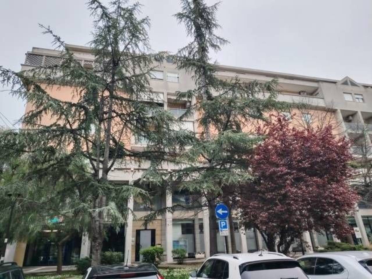 immagine annuncio 1 di 7