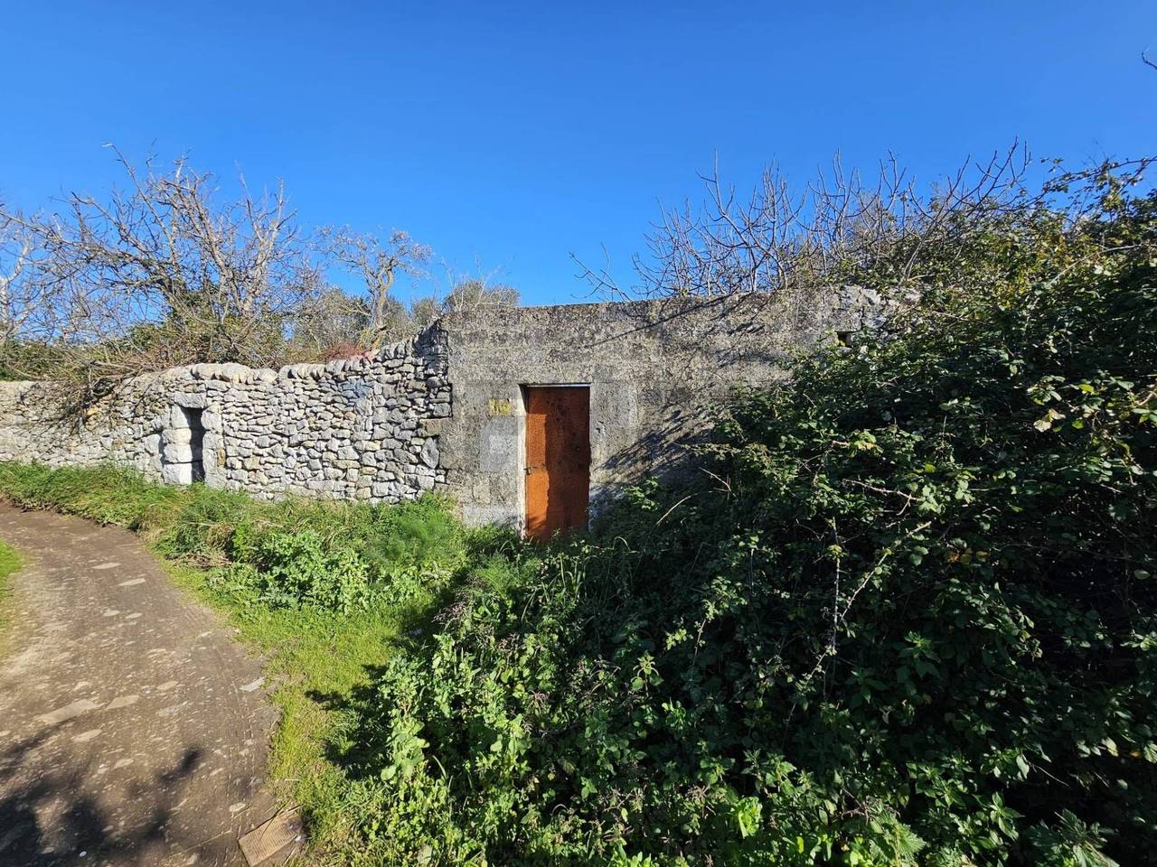 immagine annuncio 8 di 11