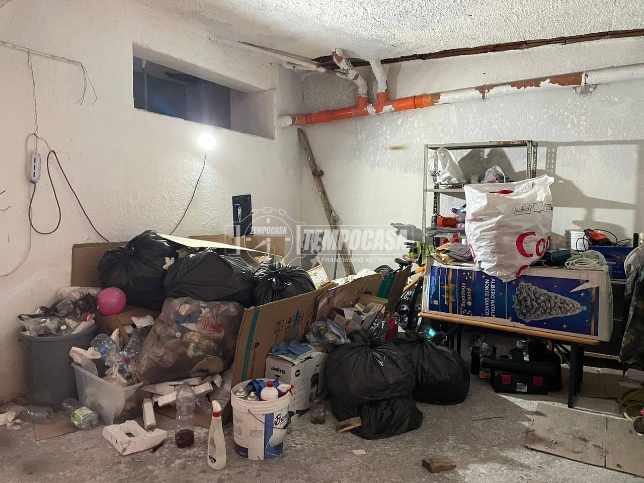 immagine annuncio 6 di 11