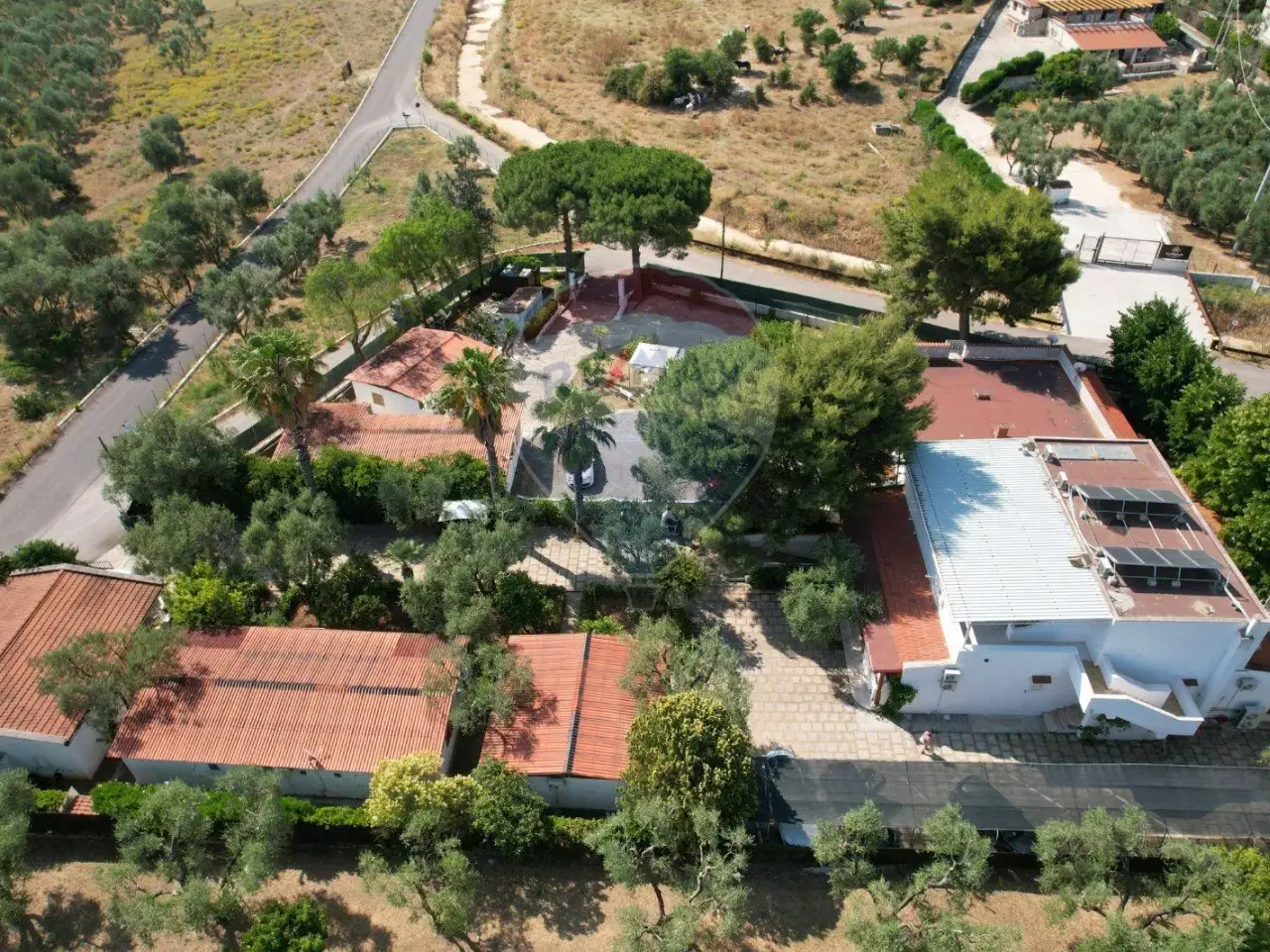 Albergo in Località Montincello, Vieste, {3} - Foto 1
