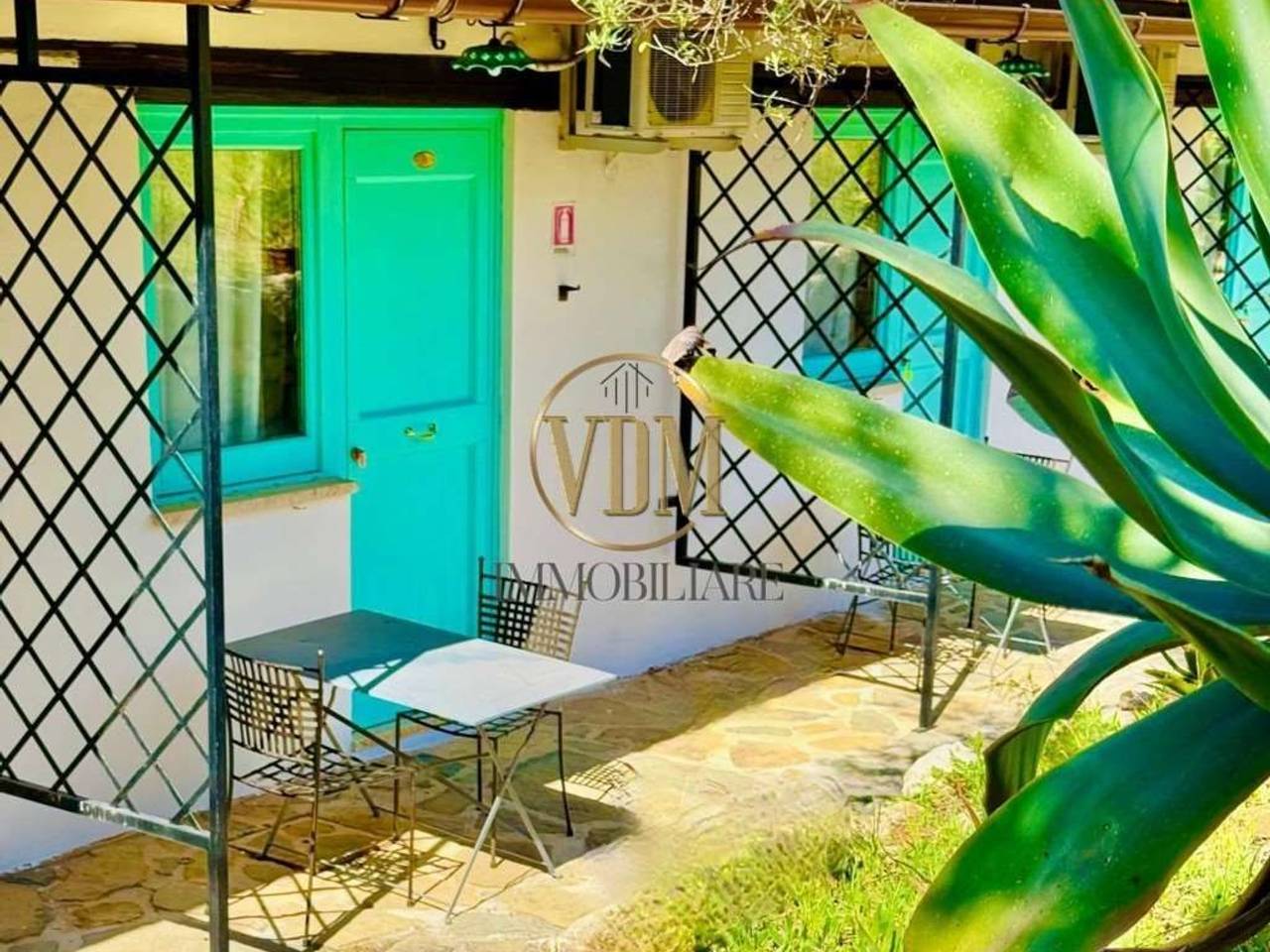 immagine annuncio 5 di 12