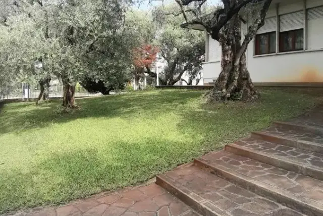 insertion image