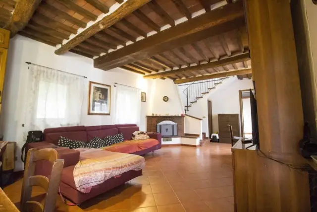 Casa indipendente, Pietrasanta - Foto 1