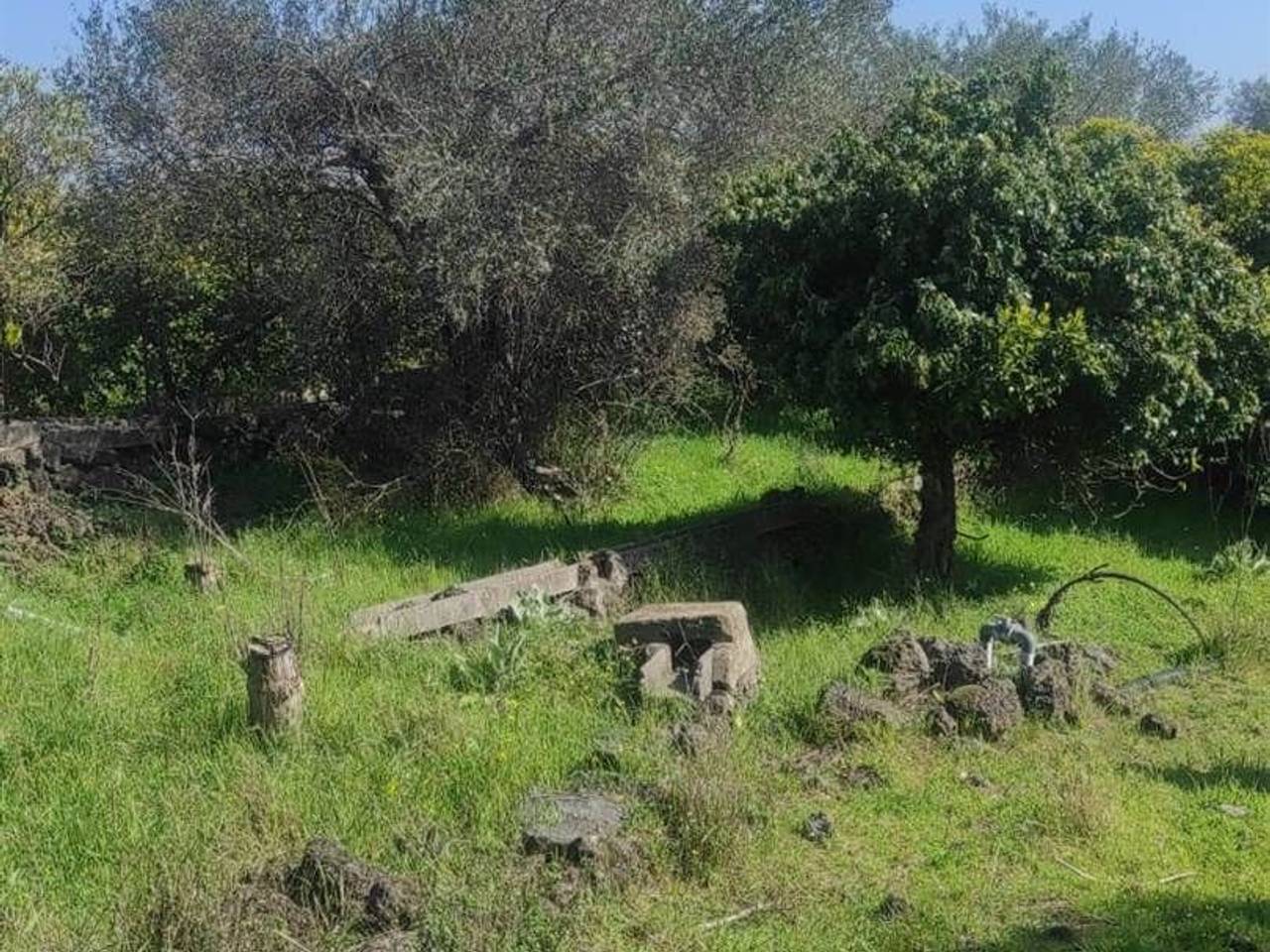 immagine annuncio 3 di 9