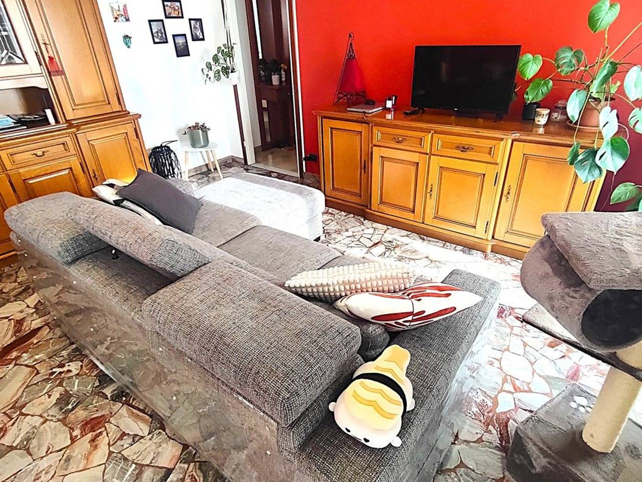 immagine annuncio 6 di 15