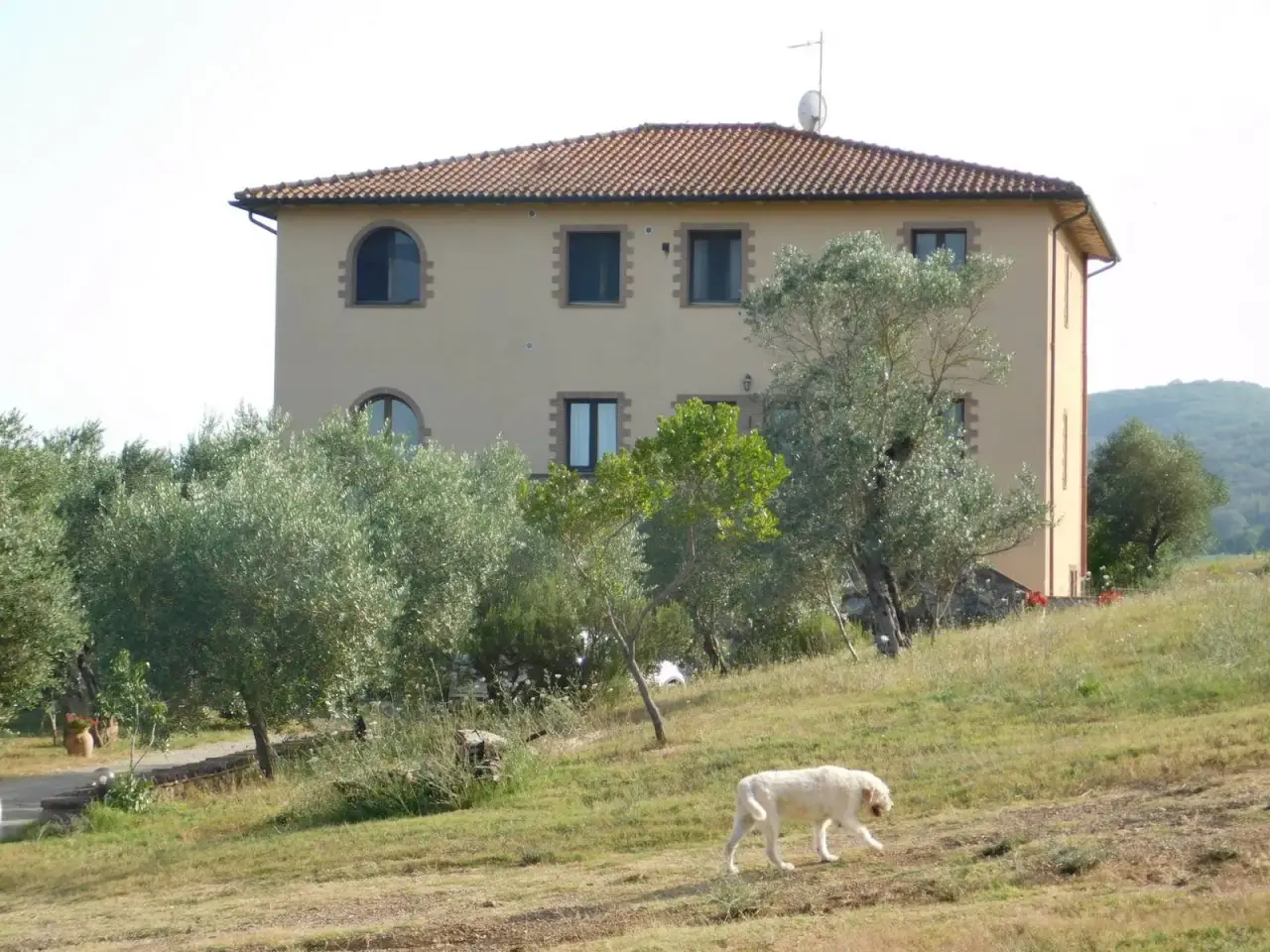 Agriturismo in , Civitella Paganico, {3} - Foto 1