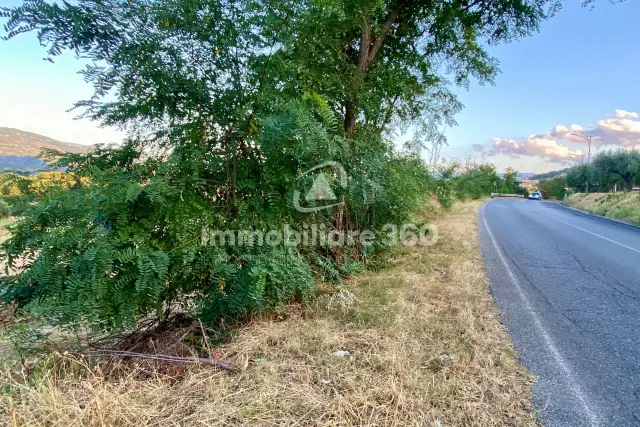 insertion image