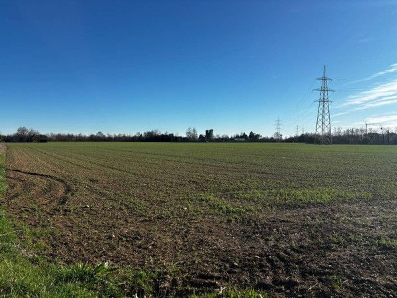 immagine annuncio 3 di 11