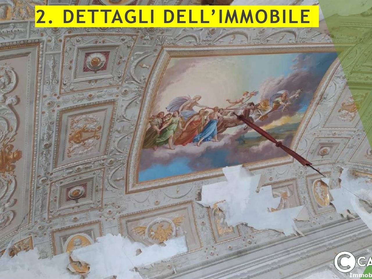 immagine annuncio 5 di 14