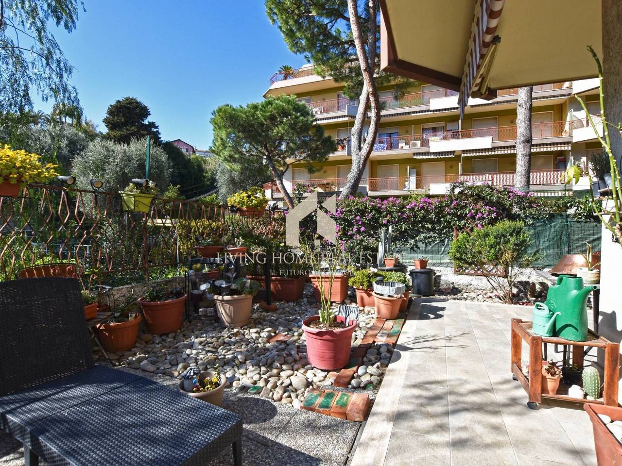 immagine annuncio 1 di 13