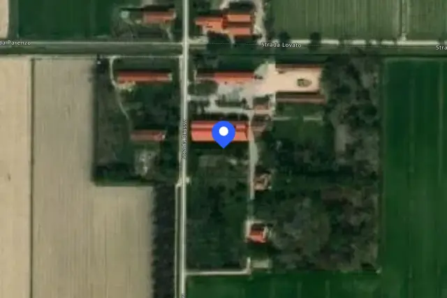 insertion image
