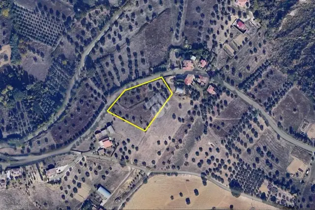 insertion image