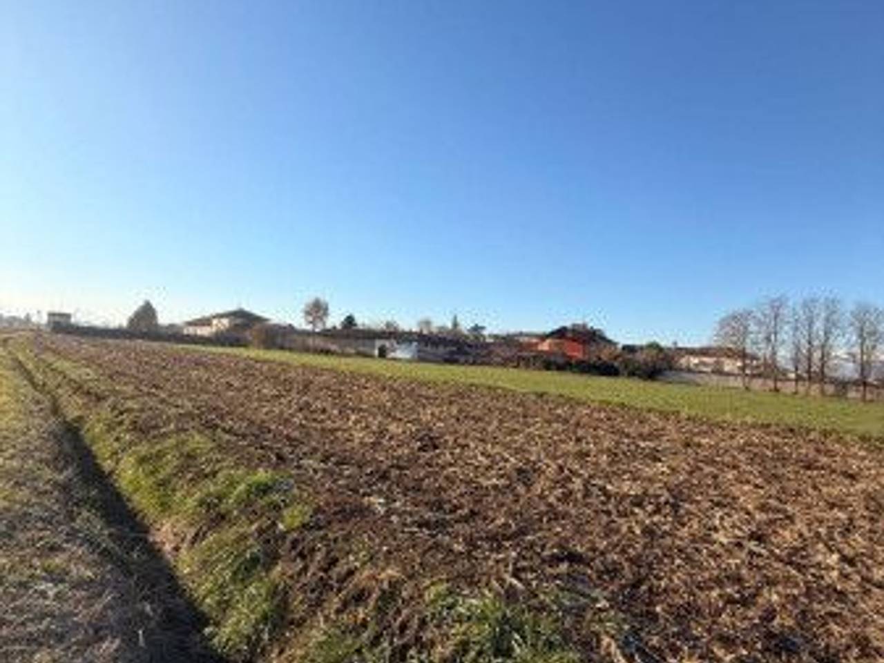 immagine annuncio 3 di 7