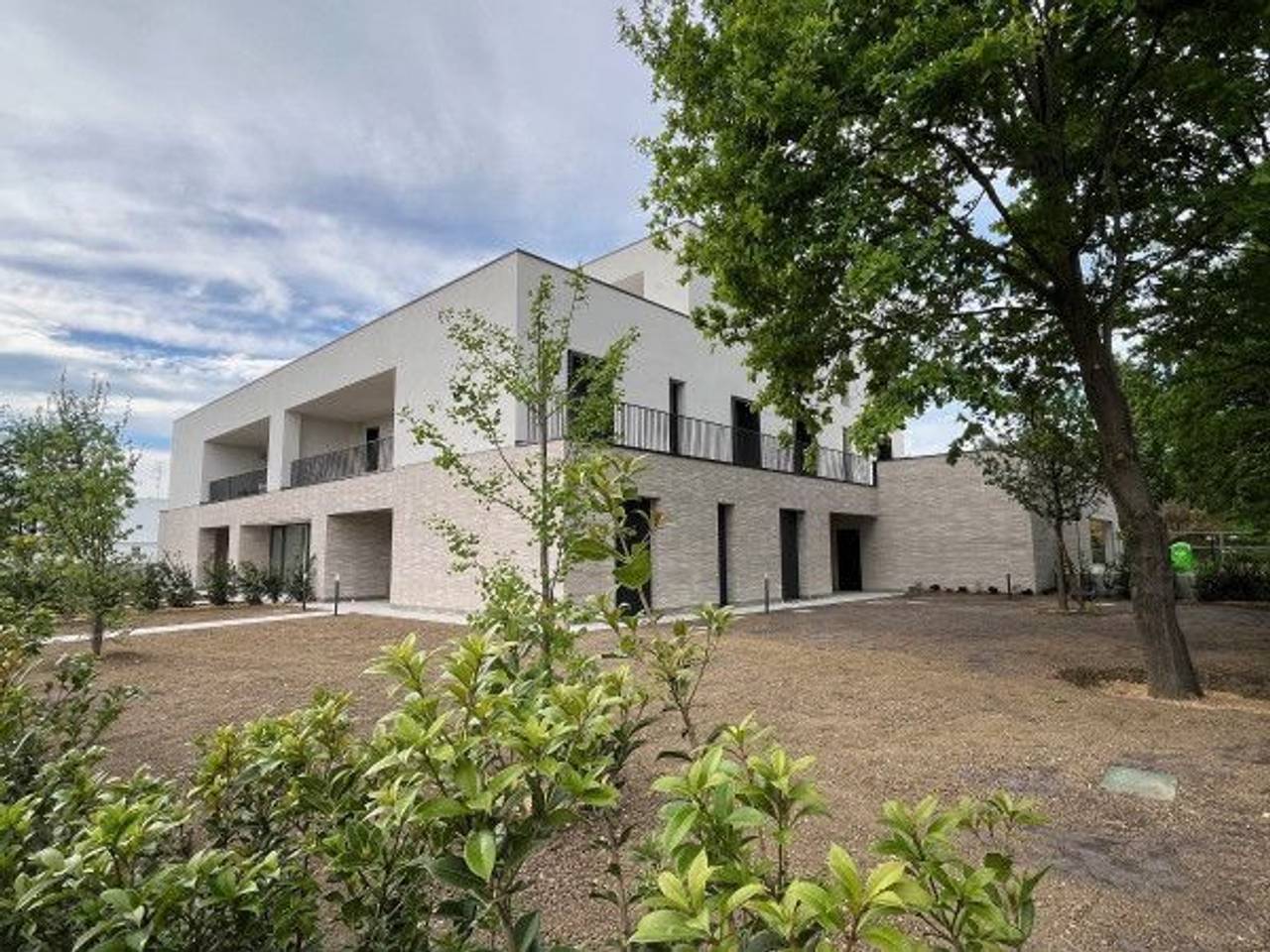 immagine annuncio 4 di 6