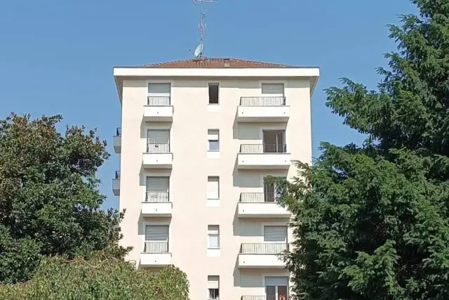 insertion image