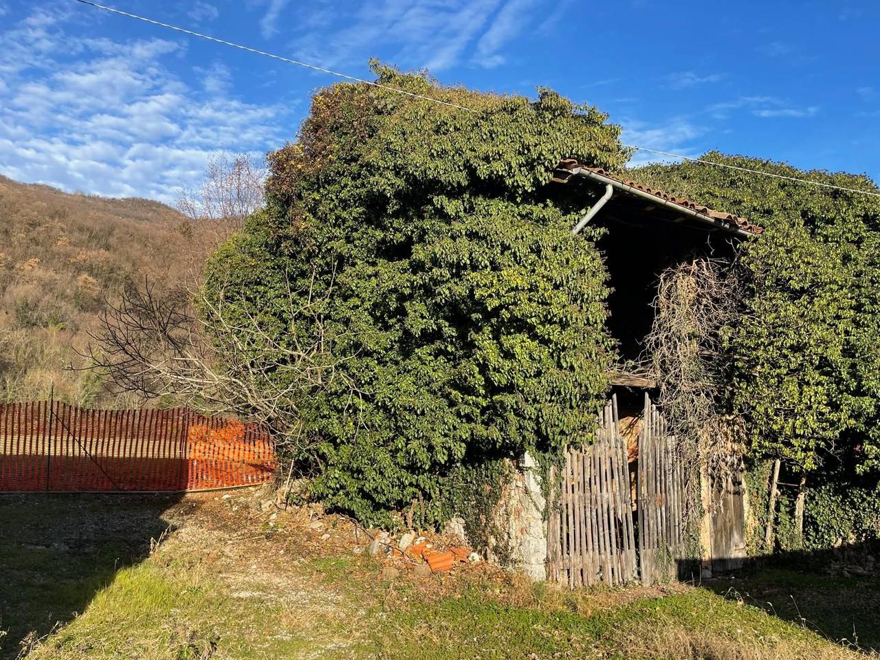 immagine annuncio 14 di 15