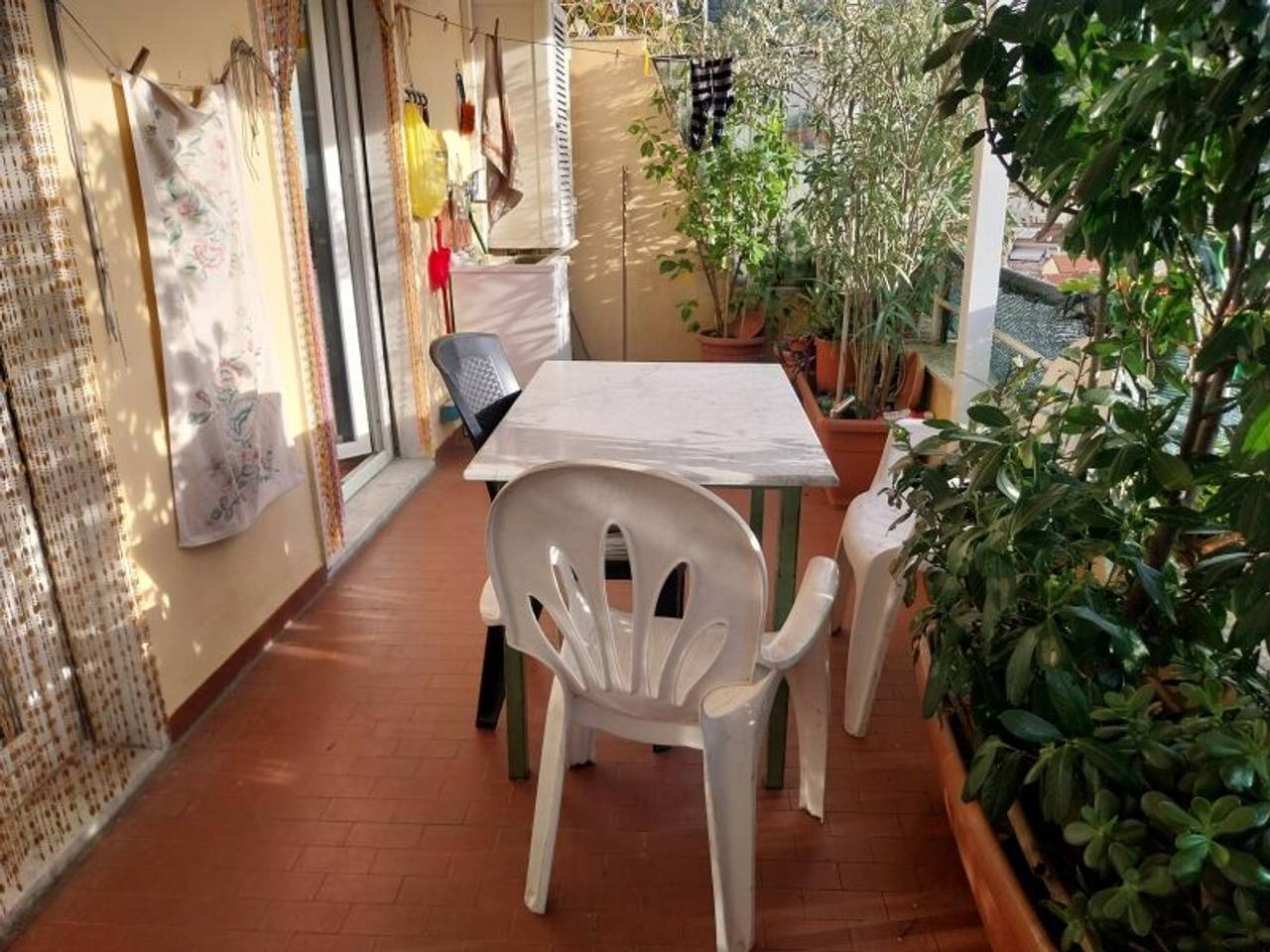 immagine annuncio 2 di 4