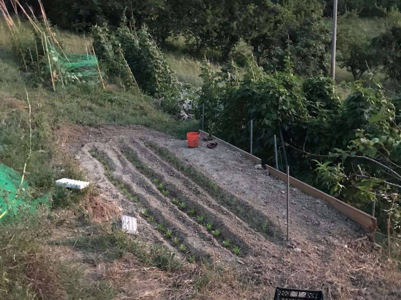 immagine annuncio 10 di 11