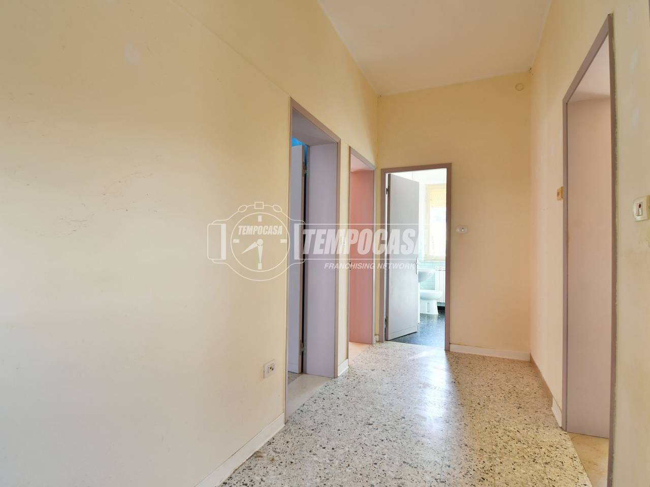 immagine annuncio 4 di 13