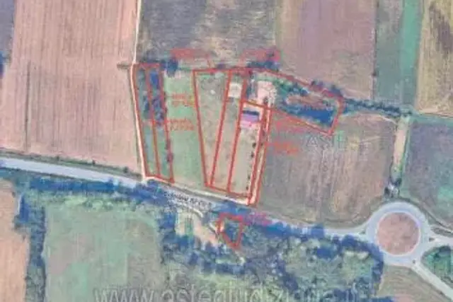 insertion image