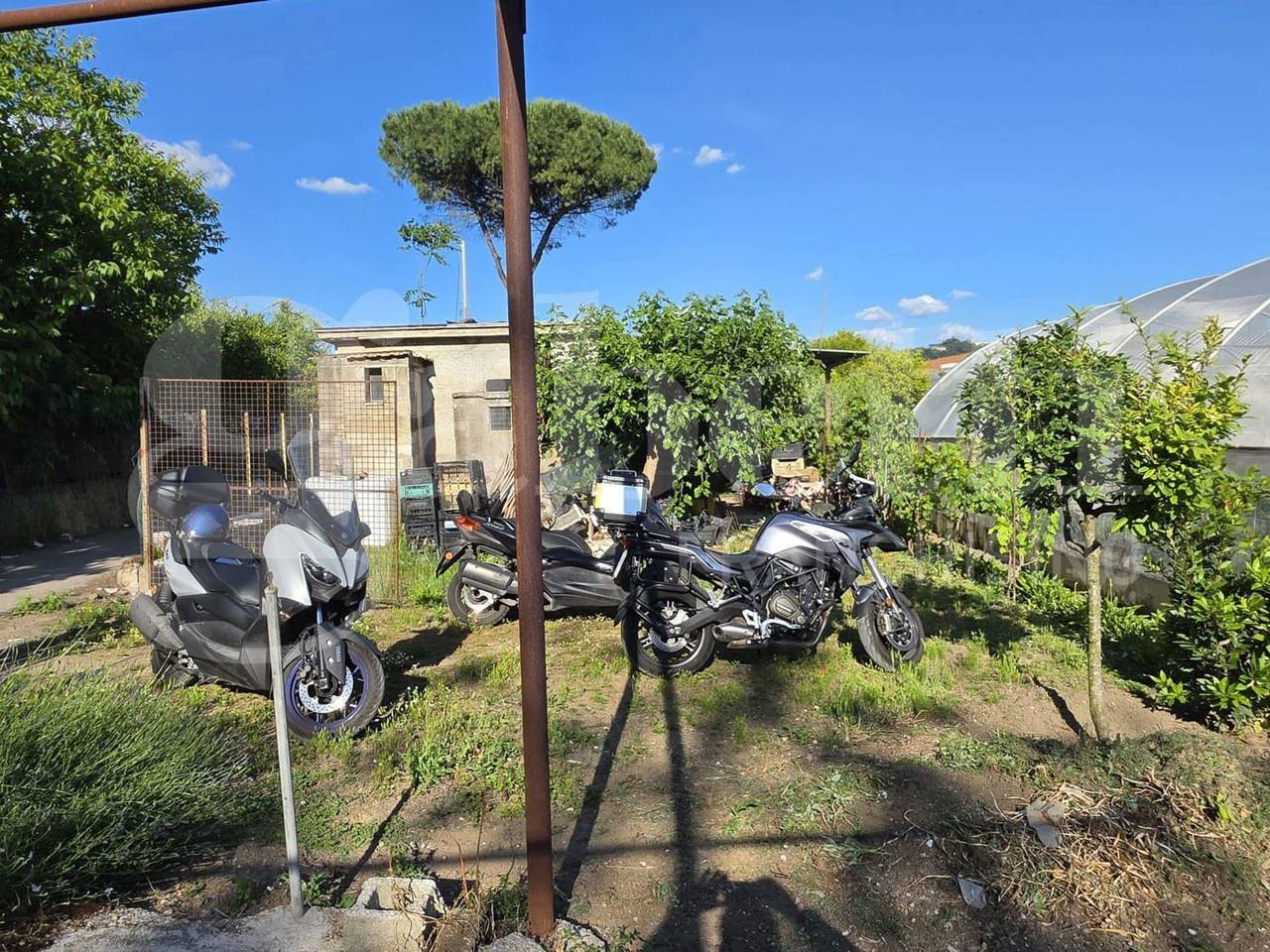 immagine annuncio 3 di 14