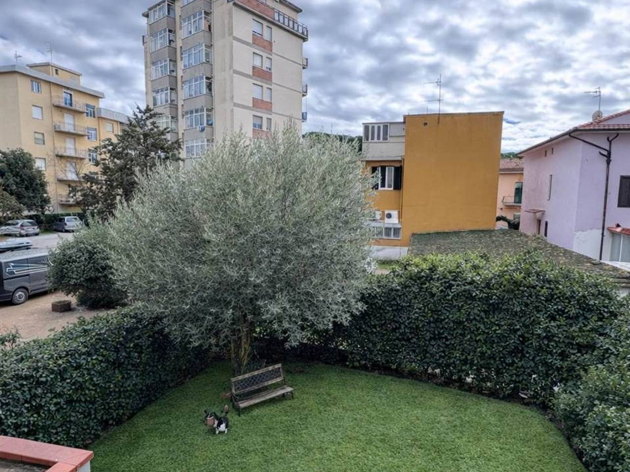 immagine annuncio 6 di 15