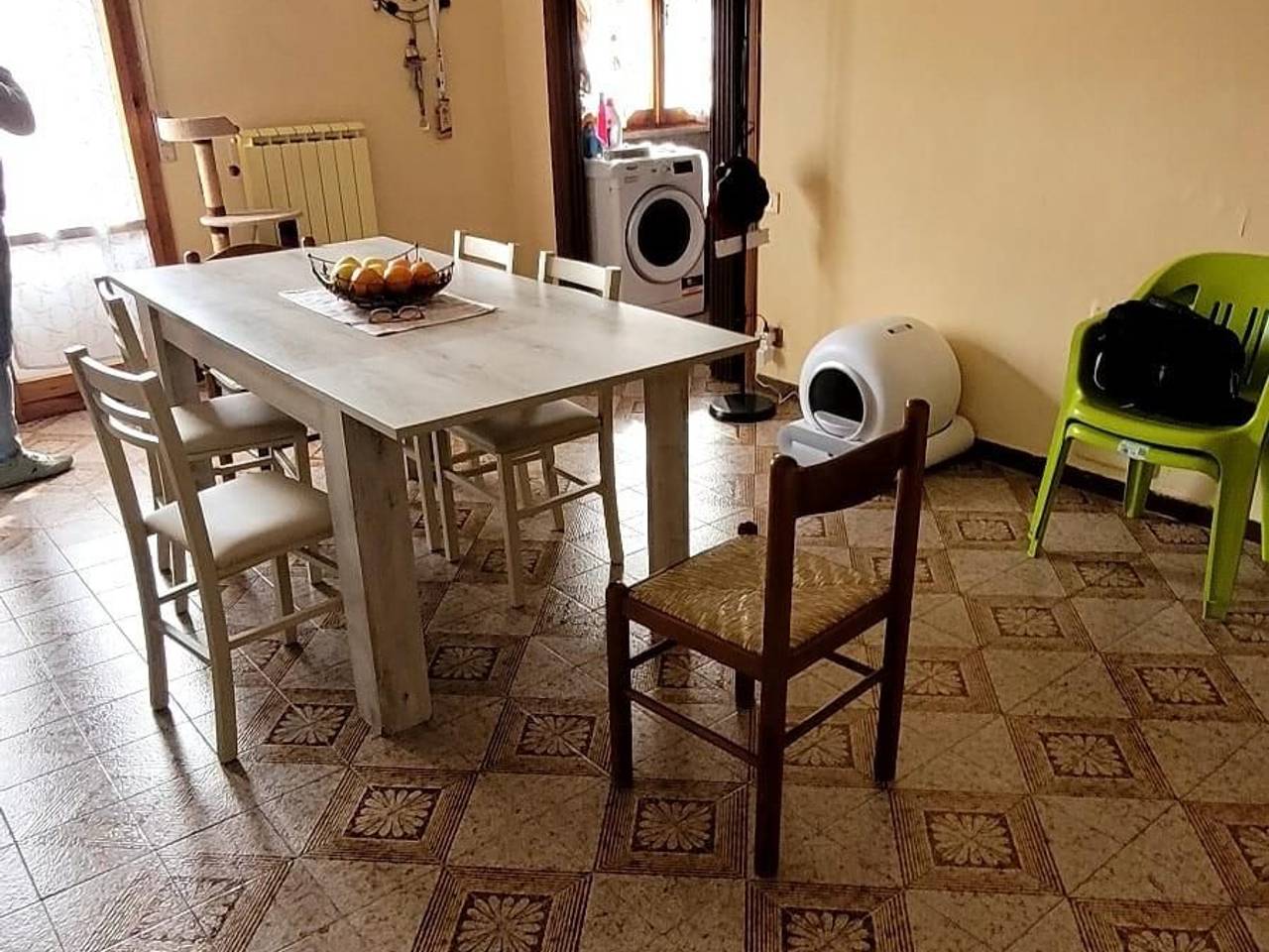 immagine annuncio 2 di 7