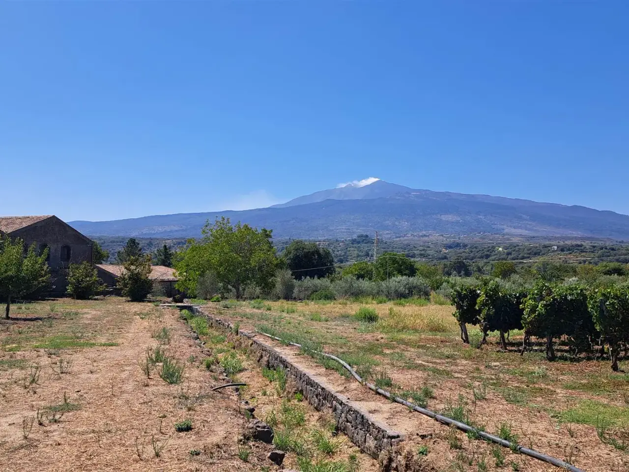 Azienda agricola in , Castiglione Di Sicilia, {3} - Foto 1