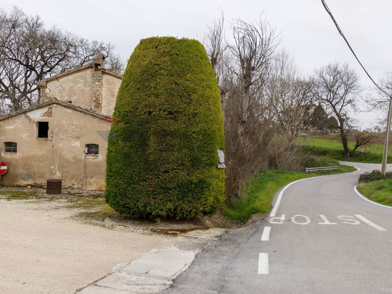 immagine annuncio 3 di 8