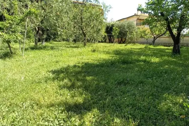 insertion image