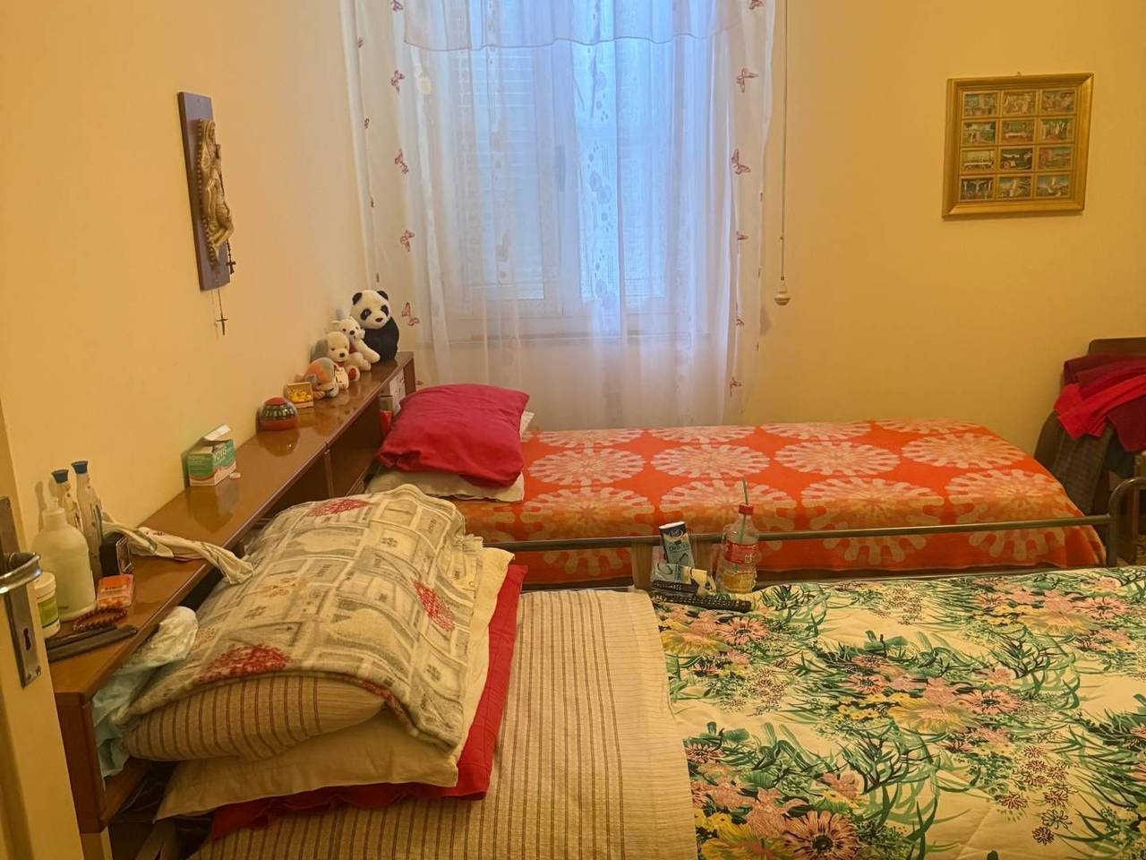 immagine annuncio 7 di 14